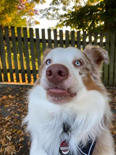 Hier ist der Spaßthread. Zum Schmunzeln und Kaputtlachen-Beitrag-Bild