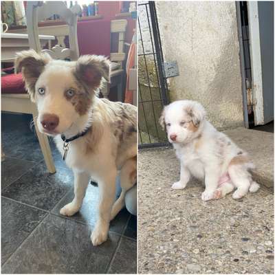 Vorher.... Nachher-Beitrag-Bild