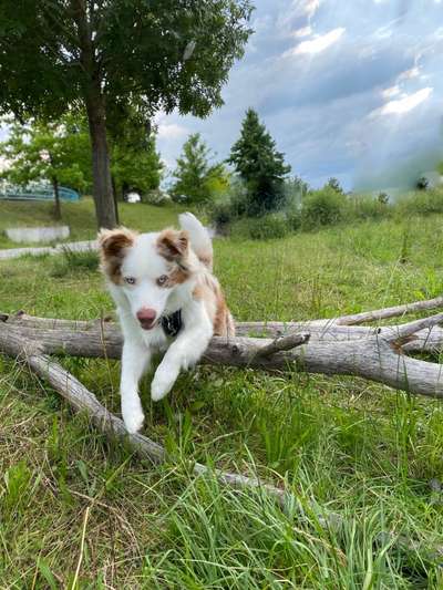 Fotochallenge Nr. 52 „Spring!“-Beitrag-Bild