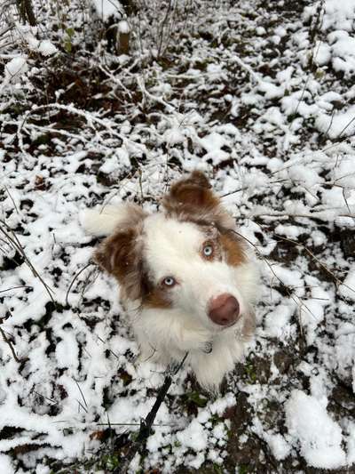 14. Farbenfoto-Challenge "Weiss"-Beitrag-Bild