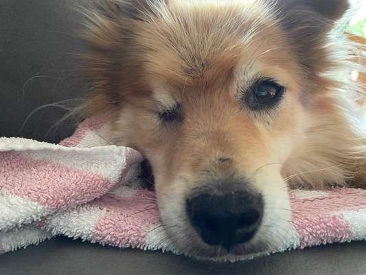 Fotochallange Nr. 57     PORTRÄT.   Beendet!!!!!!!!-Beitrag-Bild