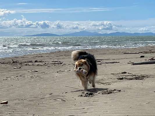 37. Collagen Challenge- Am Strand-Beitrag-Bild