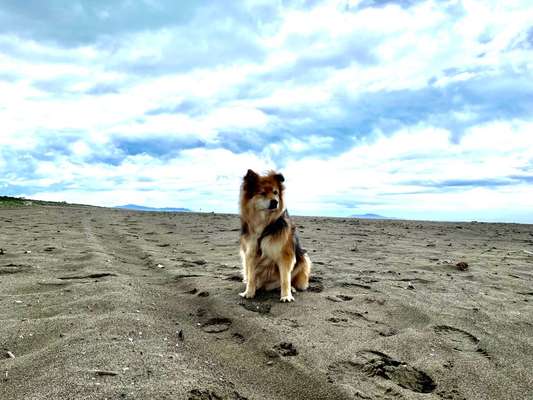 37. Collagen Challenge- Am Strand-Beitrag-Bild