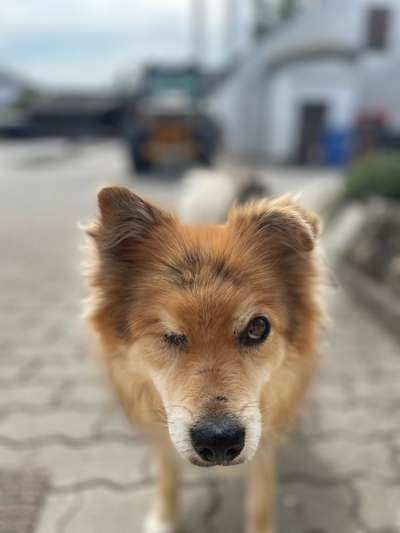 Handy-Foto Challange Nr. 10-Beitrag-Bild