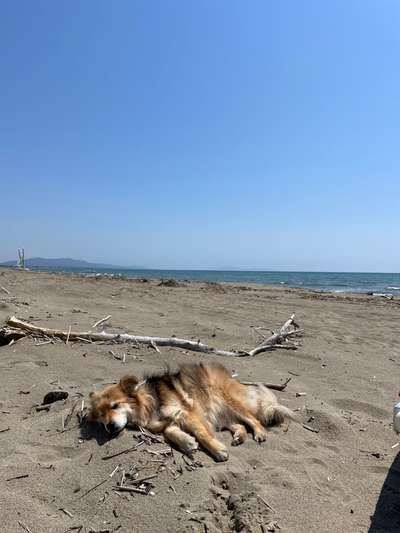 37. Collagen Challenge- Am Strand-Beitrag-Bild