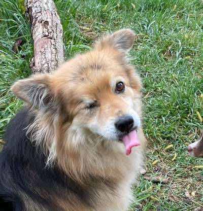 Tongue Out Tuesday-Beitrag-Bild