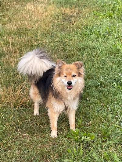 Doppelgänger gesucht !-Beitrag-Bild