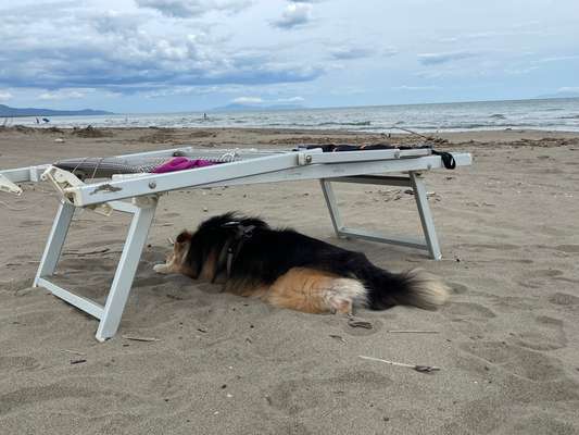 37. Collagen Challenge- Am Strand-Beitrag-Bild