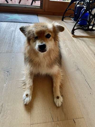 Fotochallenge Nr. 102: Futter balancieren-Beitrag-Bild