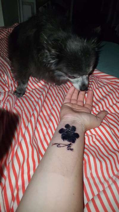 Erinnerungs Tattoos-Beitrag-Bild