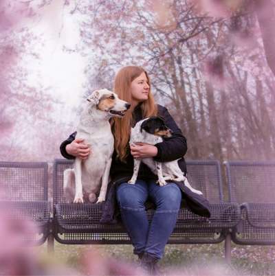 Hundetreffen-Treffen mit Bilbo & Mila-Profilbild