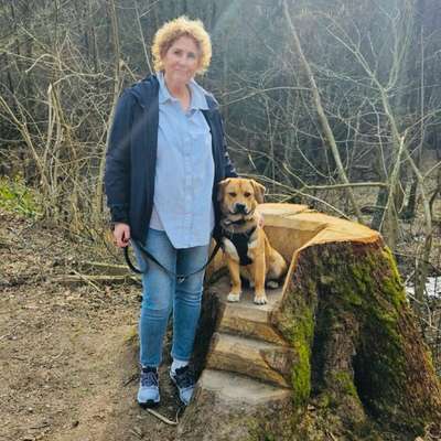Hundetreffen-Gemeinsame Spaziergänge und neue Hundekontakte-Bild