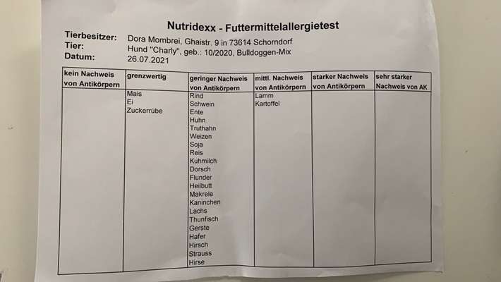 Futterumstellung abbrechen?-Beitrag-Bild