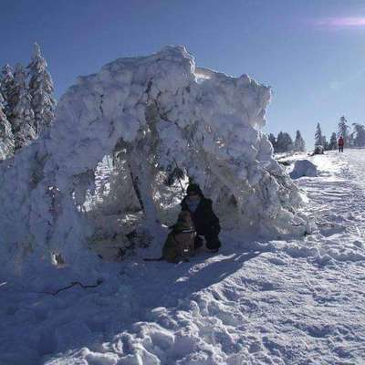 Dogorama Photo Challenge - Es wird nochmal kalt!-Beitrag-Bild