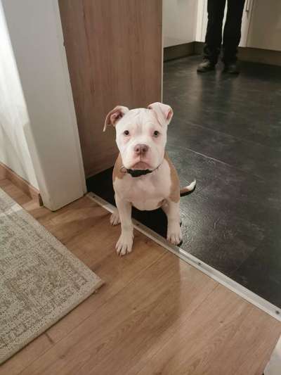 Fotochallange Nummer 5-Beitrag-Bild