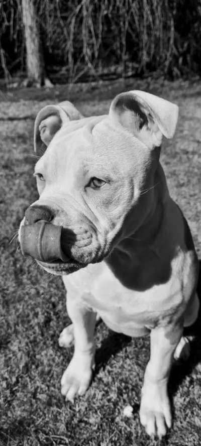 Foto-Challenge 76: Foto in Schwarz-Weiss-Beitrag-Bild