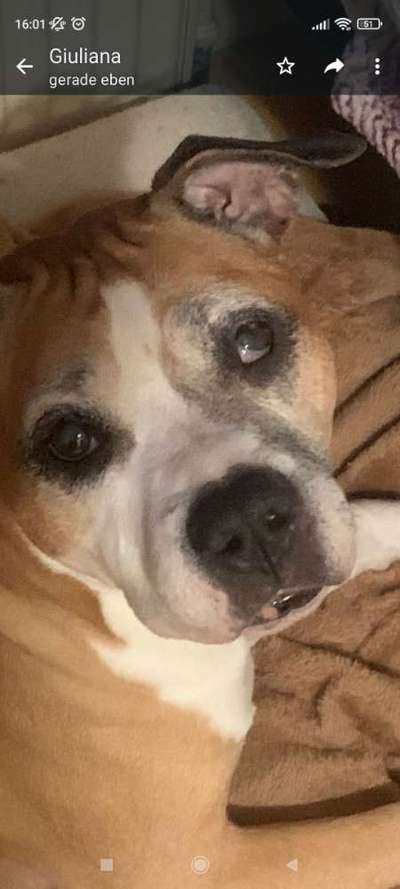 Schielen-Beitrag-Bild