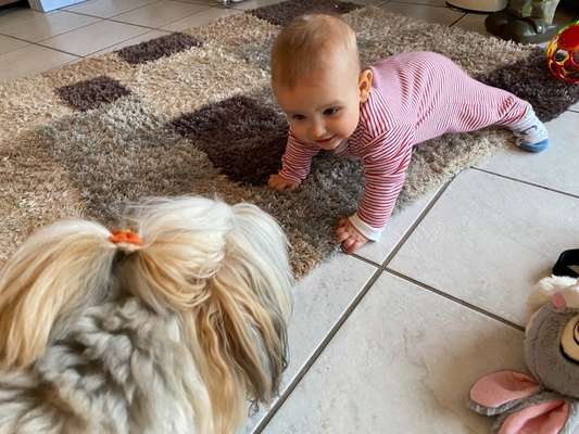 Baby und Hund-Beitrag-Bild