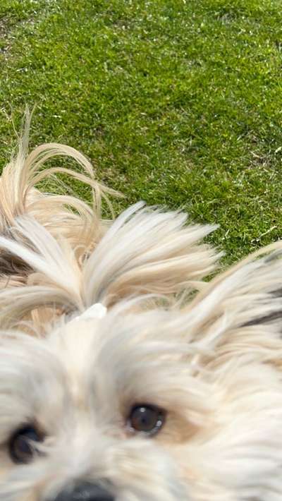 Un...scharf Bilder-Beitrag-Bild