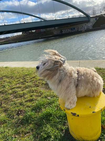 Vom Winde verweht Frisuren...-Beitrag-Bild