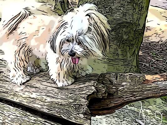 Der Hund als Cartoon-Beitrag-Bild