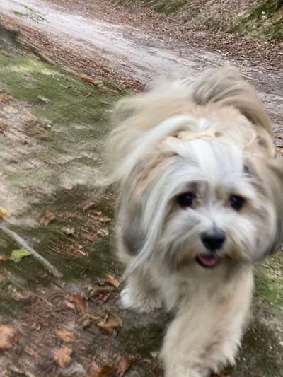 Un...scharf Bilder-Beitrag-Bild