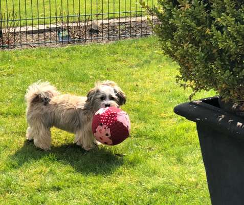 138. Fotochallenge 

(M)Ein Ball und ich-Beitrag-Bild