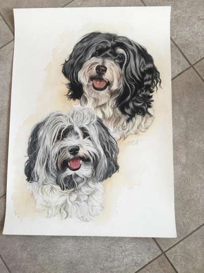 Zeichnungen Eurer Hunde !?-Beitrag-Bild