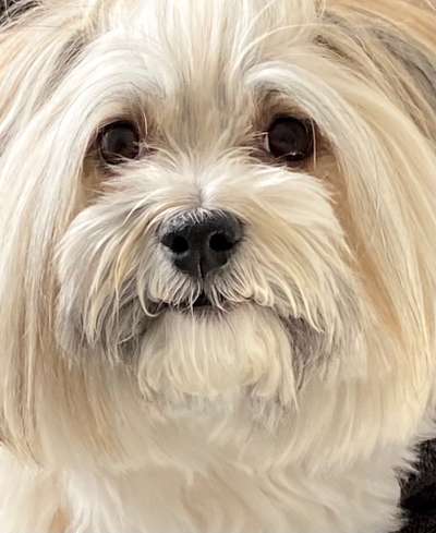 Fotochallange Nr. 57     PORTRÄT.   Beendet!!!!!!!!-Beitrag-Bild