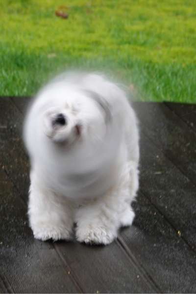 Un...scharf Bilder-Beitrag-Bild