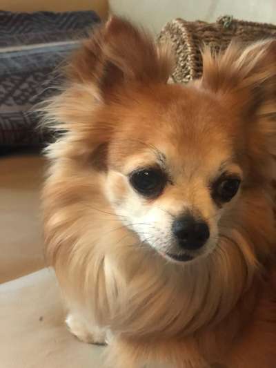 Doppelgänger gesucht !-Beitrag-Bild