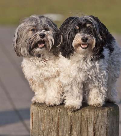 Unsere Sternchen ******-Beitrag-Bild