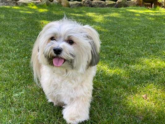 Doppelgänger gesucht !-Beitrag-Bild