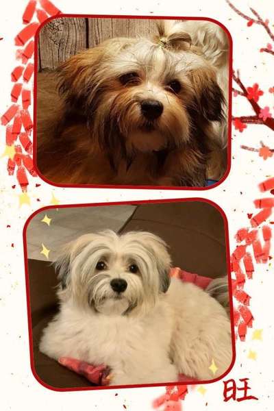 Vorher.... Nachher-Beitrag-Bild