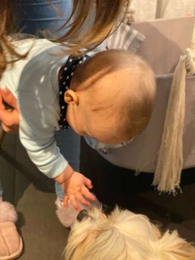 Baby und Hund-Beitrag-Bild