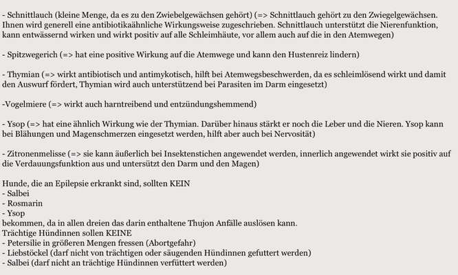 Kräuter für die Hunde, hat schon jemand gute Erfahrungen mit den Kräutern bei seinen Hunden gemacht?-Beitrag-Bild