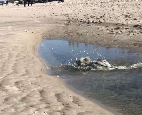 Fotochallenge 27-Beitrag-Bild