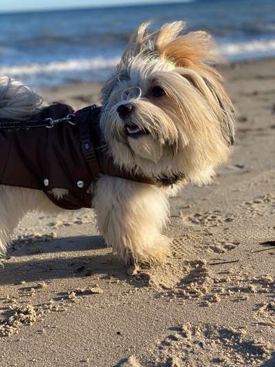 Eure Strandbilder :)-Beitrag-Bild