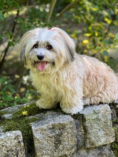 Doppelgänger gesucht !-Beitrag-Bild