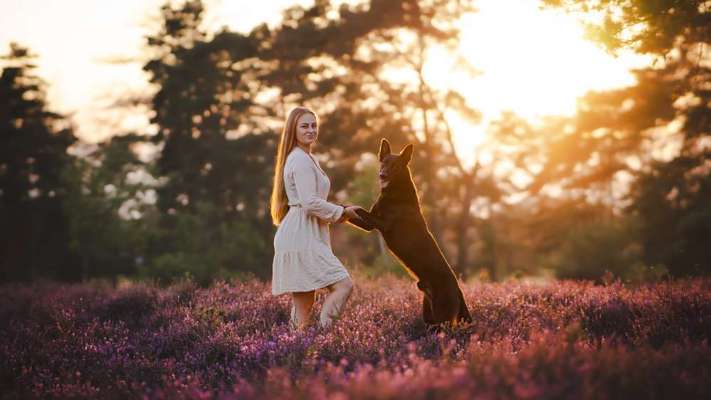 Hundetreffen-Heideshooting-Bild