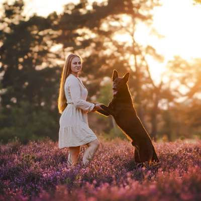 Hundetreffen-Begleithundetraining