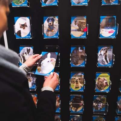 %{de_profession_title}-Adopt-Me-Wand-Bild