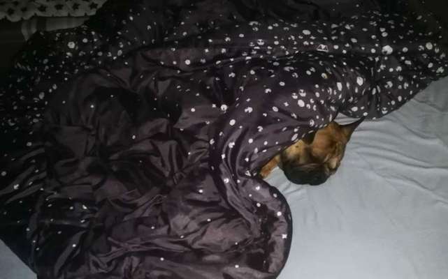 Im Bett schlafen-Beitrag-Bild