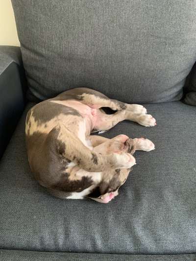 Die unbequemsten und lustigsten Schlafpositionen-Beitrag-Bild