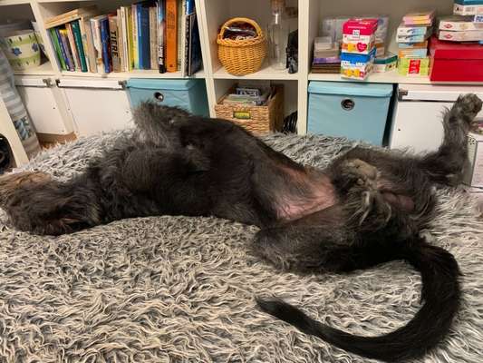 FOTO-Challenge  NR. 91: Die pure Entspannung-Beitrag-Bild