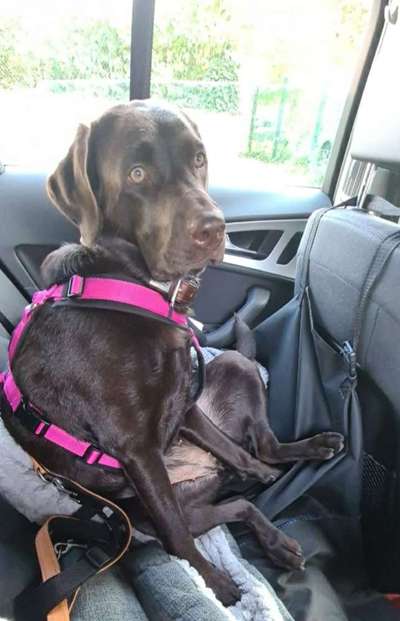 Fotochallenge No. 5-Beitrag-Bild