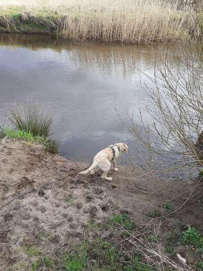 Fotochallenge No. 26                                     Wald und Wiese-Beitrag-Bild