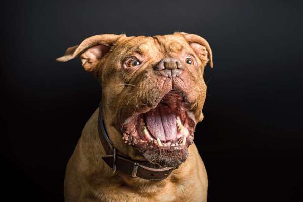 Challenge Nr. 10: "Das schönste Lächeln"-Beitrag-Bild