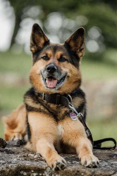 Lieblingsbild :D-Beitrag-Bild