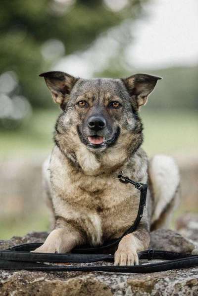 Lieblingsbild :D-Beitrag-Bild